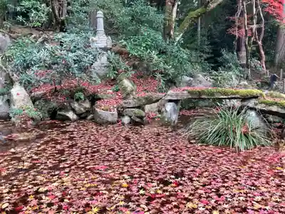金剛輪寺(滋賀県)