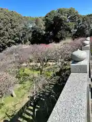 道明寺天満宮(大阪府)