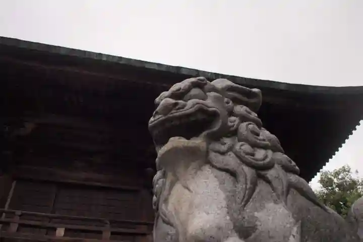 穴切大神社の狛犬