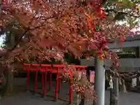 高城神社(長崎県)