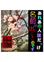 耕田院(山形県)