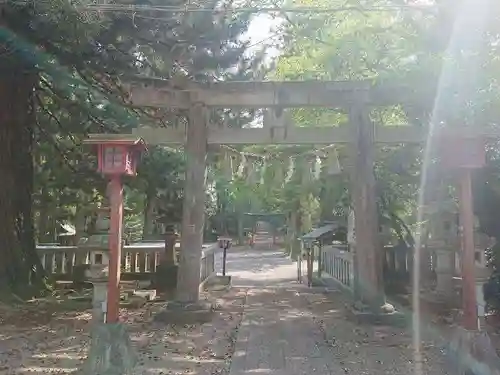 安房神社の鳥居