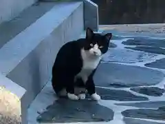 由良湊神社の動物