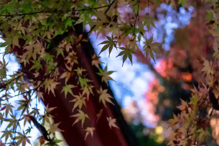 貴船神社(京都府)