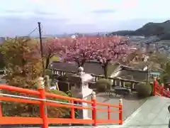 足利織姫神社の景色