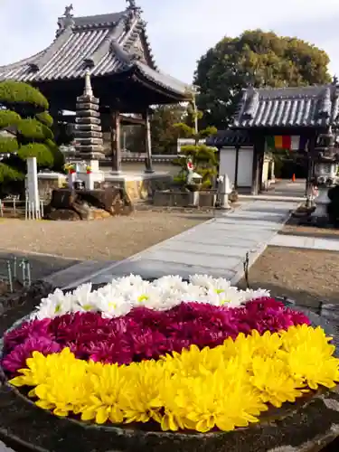 真言宗　善通寺派　薬王寺(香川県)