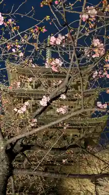 東寺（教王護国寺）(京都府)