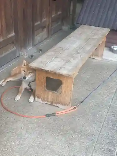 感通寺(東京都)