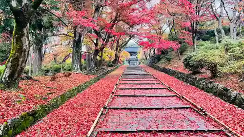 毘沙門堂門跡のその他建物