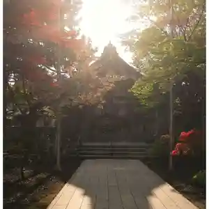 彌彦神社 (伊夜日子神社)の本殿・本堂(2023年05月17日(水) 13時47分24秒投稿)