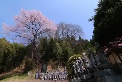 曹源寺の地蔵