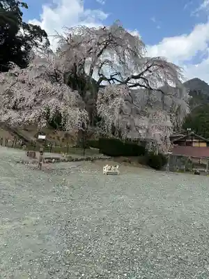 妙祐寺(福井県)