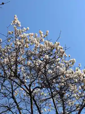 柏の宮稲荷神社(東京都)