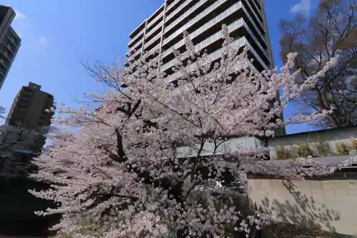 愛宕神社の周辺