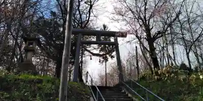秋葉神社の鳥居