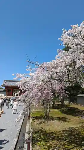 仁和寺(京都府)