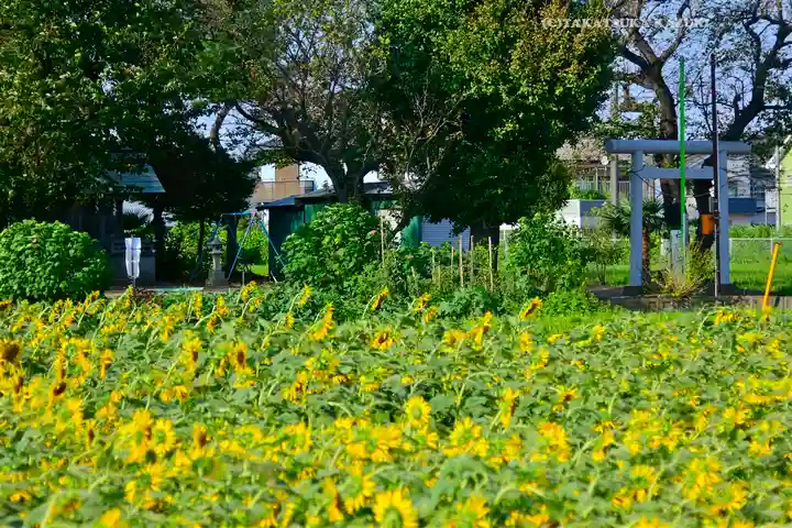 天照皇大神宮(神奈川県)