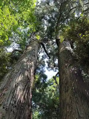日吉神社(千葉県)