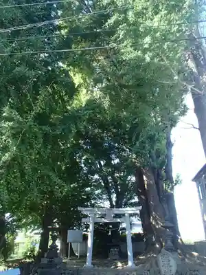 宮鍋神社の鳥居