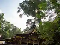 鹿島神宮(茨城県)