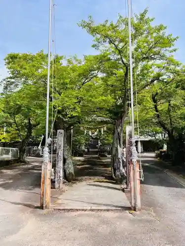天鷹神社(岐阜県)