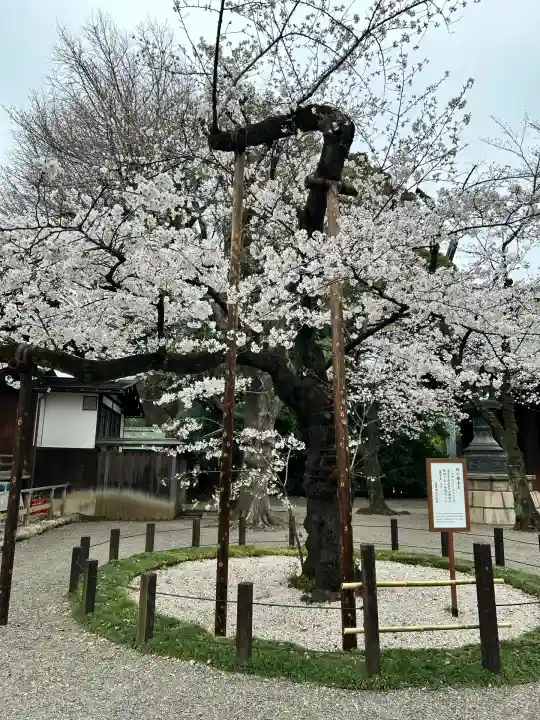 靖國神社(東京都)