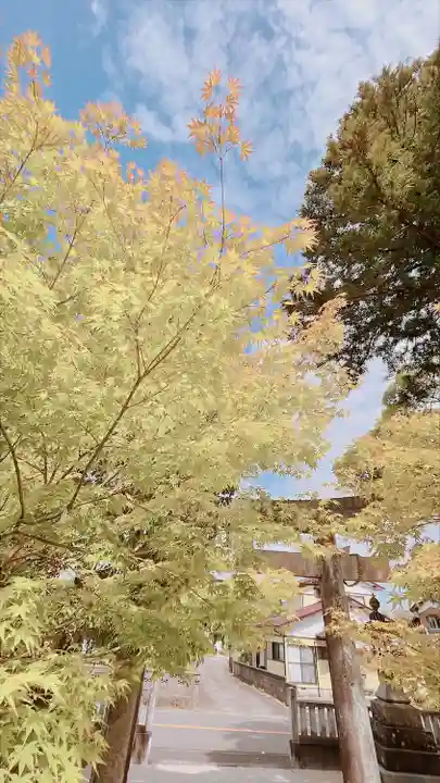 黒髪神社(佐賀県)