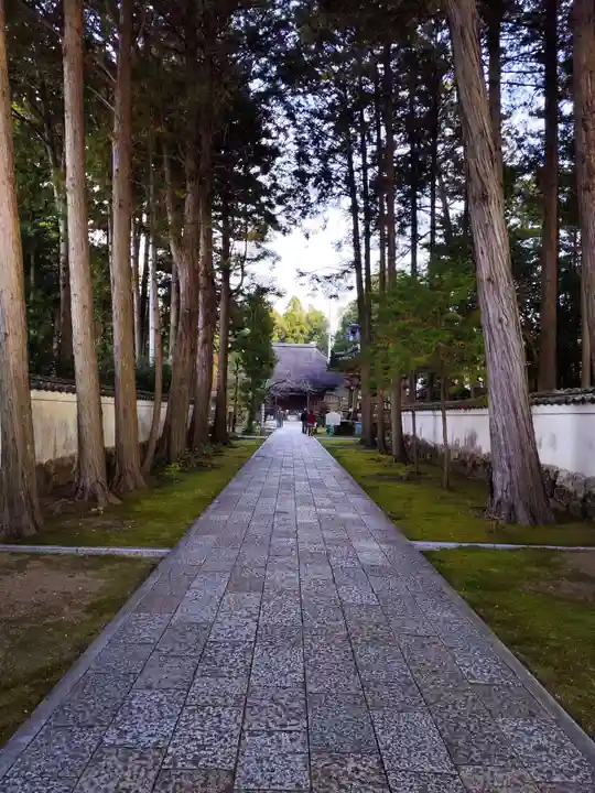 國分寺(高知県)