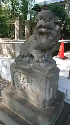 北澤八幡神社の狛犬