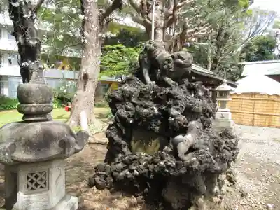 前原御嶽神社の狛犬