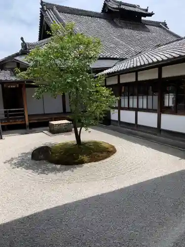 建仁寺（建仁禅寺）の庭園