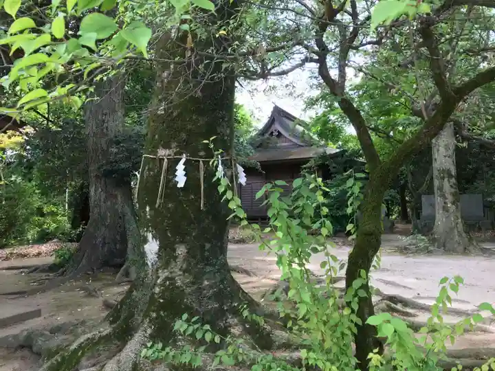 筑紫神社(福岡県)