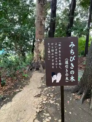鶴嶺八幡宮(神奈川県)