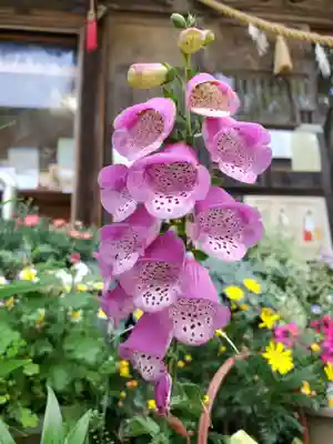 岡部春日神社～👹鬼門よけの🌺花咲く🌺やしろ～(福島県)