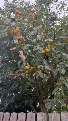 七重浜海津見神社(北海道)