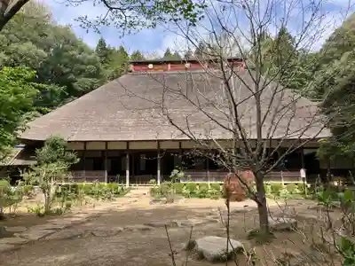 大雄寺(栃木県)