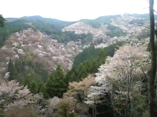 金峯山寺の景色