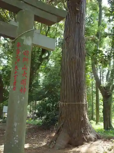 将門口ノ宮神社の自然