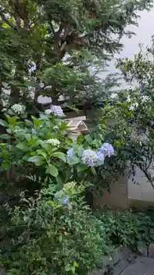 京都大神宮(京都府)
