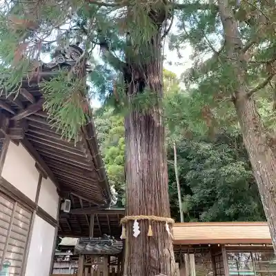 日神社(和歌山県)