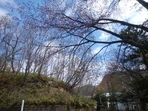 湯澤神社の自然