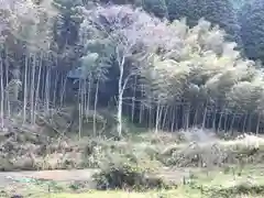 天照神社の周辺