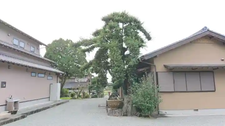 光明寺のその他建物