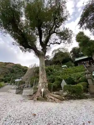 走水神社(神奈川県)