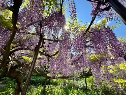 白毫寺熊野権現社(兵庫県)