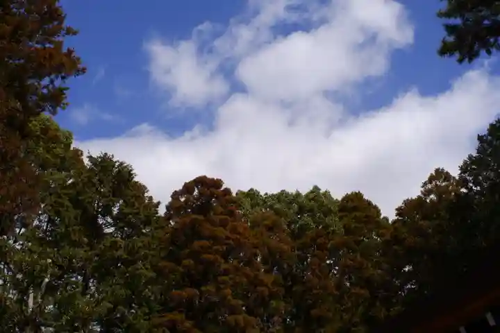 建部大社の自然