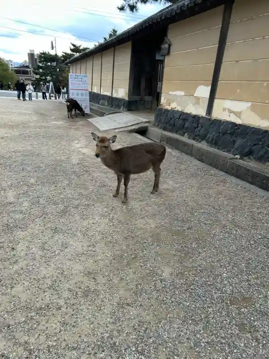 春日大社(奈良県)