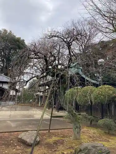 峯ヶ岡八幡神社(埼玉県)