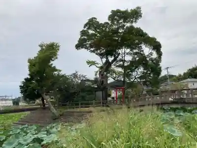 厳島神社(神奈川県)