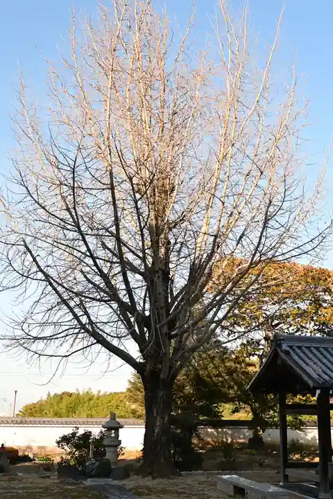 萬年山保国寺(愛媛県)